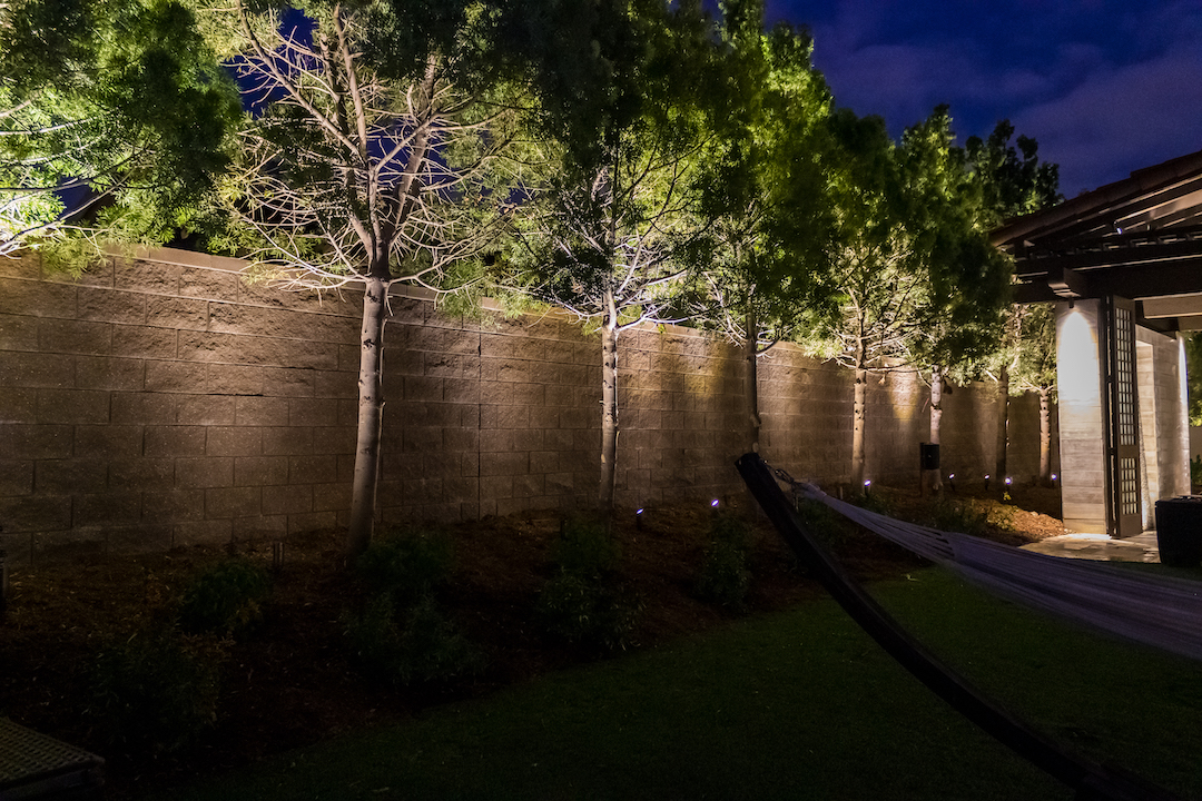 Pic91 wall and trees copy