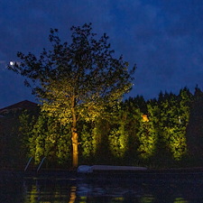 Amliorez-Votre-Jardin-avec-lclairage-Paysager 2