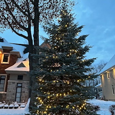 Installation-de-lumires-de-Nol-sur-votre-sapin-Terrebonne 4