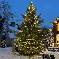 Installation-de-lumires-de-Nol-sur-votre-sapin-Terrebonne 6