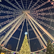 Le-sapin-de-Nol-La-Grande-Roue-de-Montral 12