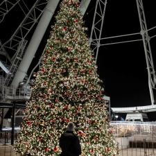 Le-sapin-de-Nol-La-Grande-Roue-de-Montral 9