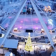 Le-sapin-de-Nol-La-Grande-Roue-de-Montral 7